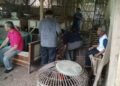 Polres Purwakarta Gerebek Tempat Judi Sabum Ayam Di Ciganea, 11 Oreng Diamankan
