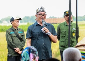 Pemkab Purwakarta Siapakan Lahan Kembangkan Komuditas Durian Baru