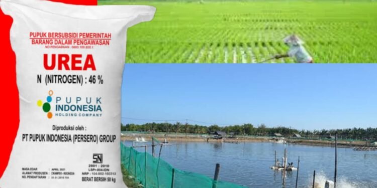 Aep Syaepuloh Realisasikan Janji Kampanye,Petani Tambak Pesisir Karawang Dapat Jatah Urea Khusus Diluar Kuota Pupuk Subsidi Pertanian
