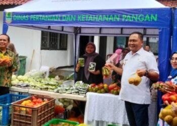 Stabilkan Harga Bahan Pokok Jelang Idulfitri DPKP Gelar Pasar Murah