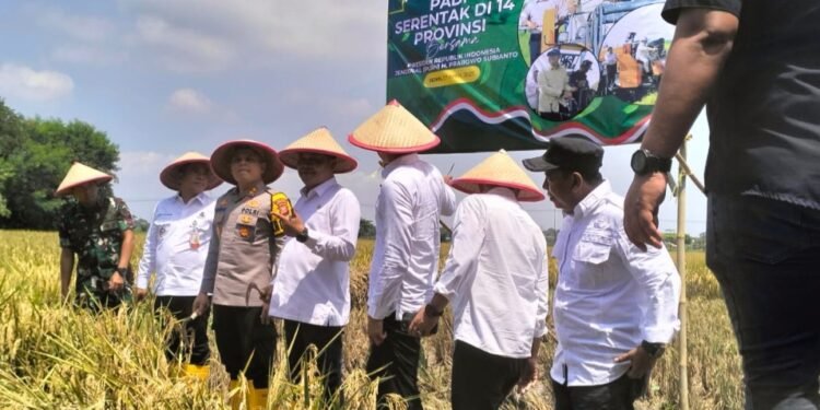 Presiden Prabowo Panen Raya di Majalengka Bupati Karawang Dukung Swasembada Beras Nasional