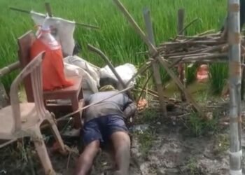 Diduga Sakit Seorang Pria Ditemukan Sudah Meninggal di Pematang Sawah