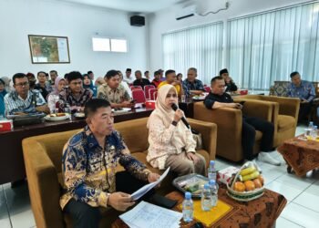 Ketua Komisi II DPRD Karawang Soroti Kondisi Puskesmas Rengasdengklok, Usulkan Jadi Prioritas Pembangunan